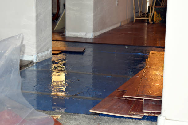 Professional Sewage Cleanup technician working in Hesperia, MI