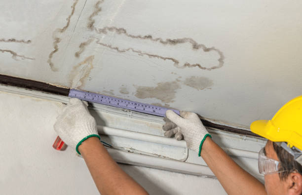 Reliable Sewage Cleanup contractor in Hesperia, MI by Water Damage Irwin
